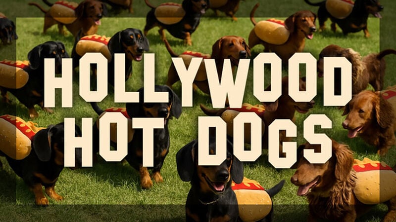 Hollywood Hot Dogs